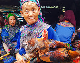 Hmong lady at Bac Ha market- Northwest loop Vietnam