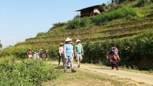 Trekking tour to Raspberry hill to see rice terraces in early morning - sunny and cool