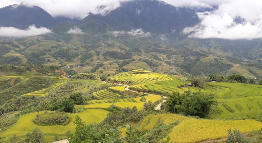 Rice terraces in Y Linh Ho village - Sapa - Leader in Northern Vietnam ...